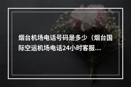 烟台机场电话号码是多少（烟台国际空运机场电话24小时客服电话）