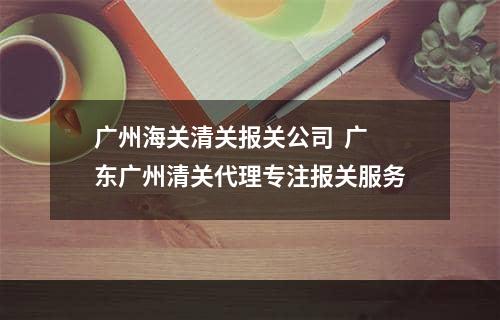 广州海关清关报关公司  广东广州清关代理专注报关服务