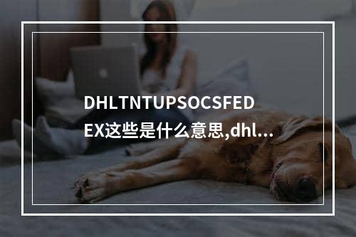 DHLTNTUPSOCSFEDEX这些是什么意思,dhltntfedexups番禺有网点吗