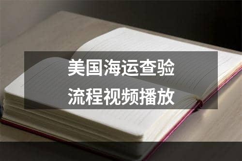 美国海运查验流程视频播放