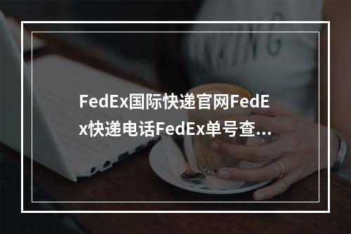 FedEx国际快递官网FedEx快递电话FedEx单号查询,fedex国际快递网址