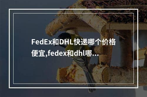 FedEx和DHL快递哪个价格便宜,fedex和dhl哪个快递好