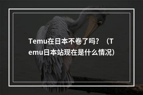 Temu在日本不卷了吗？（Temu日本站现在是什么情况）