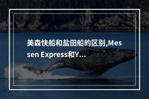 美森快船和盐田船的区别,Messen Express和Yantian Ship之间的区别空运费用,美森快船和盐田船的区别,Messen Express和Yant