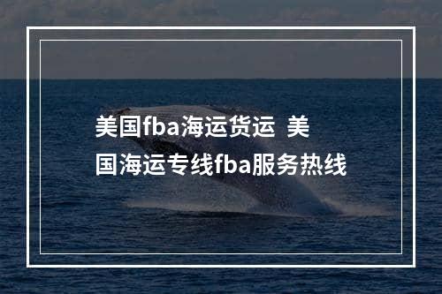 美国fba海运货运  美国海运专线fba服务热线