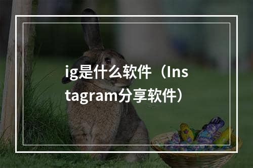 ig是什么软件（Instagram分享软件）