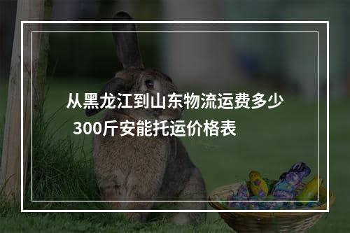 从黑龙江到山东物流运费多少  300斤安能托运价格表