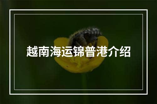 越南海运锦普港介绍