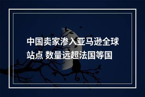 中国卖家渗入亚马逊全球站点 数量远超法国等国