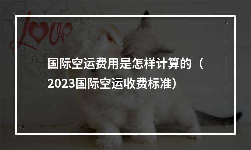 国际空运费用是怎样计算的（2023国际空运收费标准）