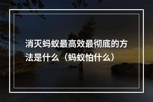 消灭蚂蚁最高效最彻底的方法是什么（蚂蚁怕什么）