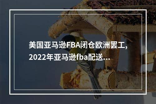 美国亚马逊FBA闭仓欧洲罢工,2022年亚马逊fba配送费用