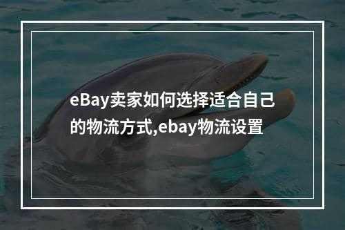 eBay卖家如何选择适合自己的物流方式,ebay物流设置