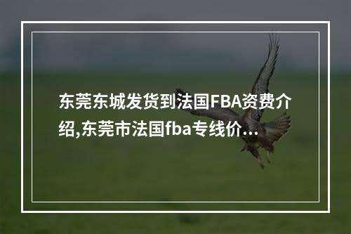 东莞东城发货到法国FBA资费介绍,东莞市法国fba专线价格表