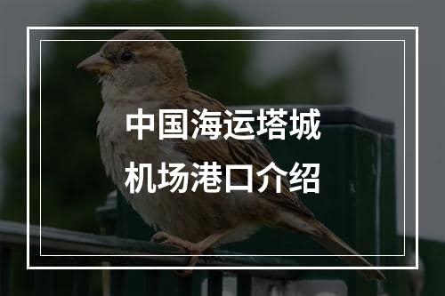 中国海运塔城机场港口介绍