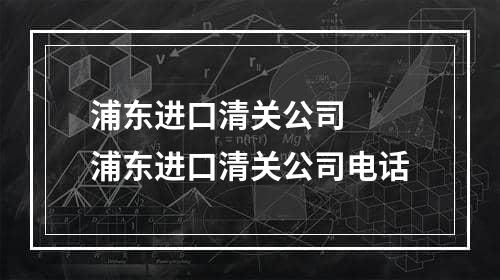 浦东进口清关公司  浦东进口清关公司电话