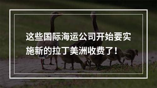 这些国际海运公司开始要实施新的拉丁美洲收费了！