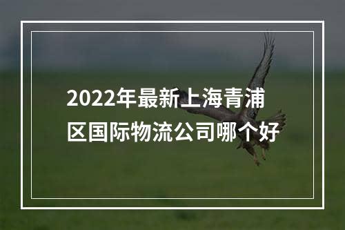 2022年最新上海青浦区国际物流公司哪个好