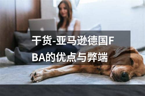 干货-亚马逊德国FBA的优点与弊端