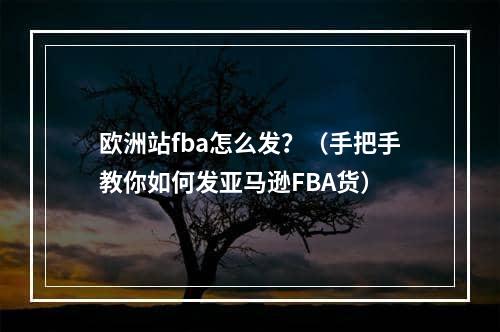 欧洲站fba怎么发？（手把手教你如何发亚马逊FBA货）