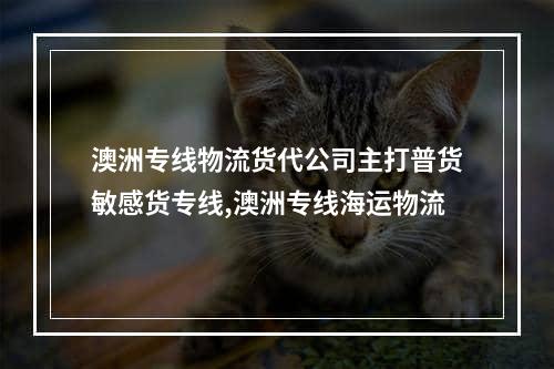 澳洲专线物流货代公司主打普货敏感货专线,澳洲专线海运物流