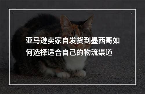 亚马逊卖家自发货到墨西哥如何选择适合自己的物流渠道