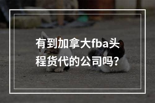 有到加拿大fba头程货代的公司吗？