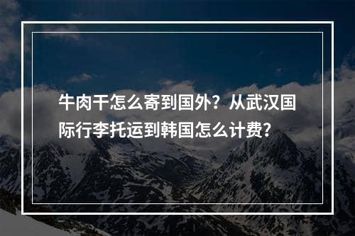 牛肉干怎么寄到国外？从武汉国际行李托运到韩国怎么计费？