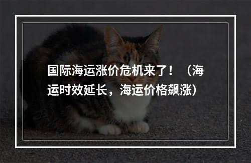 国际海运涨价危机来了！（海运时效延长，海运价格飙涨）