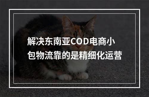 解决东南亚COD电商小包物流靠的是精细化运营