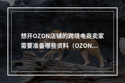 想开OZON店铺的跨境电商卖家需要准备哪些资料（OZON平台有哪些优势）