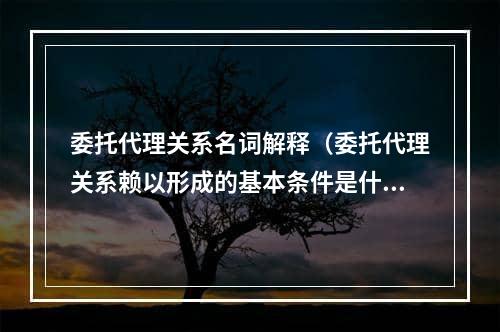 委托代理关系名词解释（委托代理关系赖以形成的基本条件是什么）