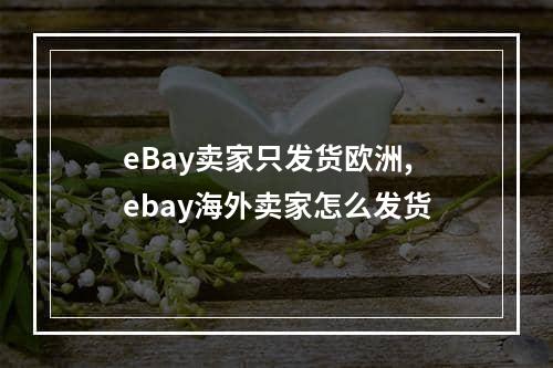 eBay卖家只发货欧洲,ebay海外卖家怎么发货