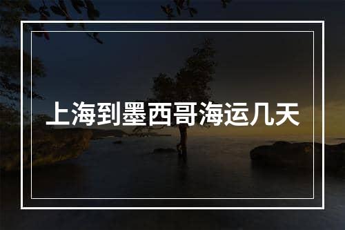 上海到墨西哥海运几天