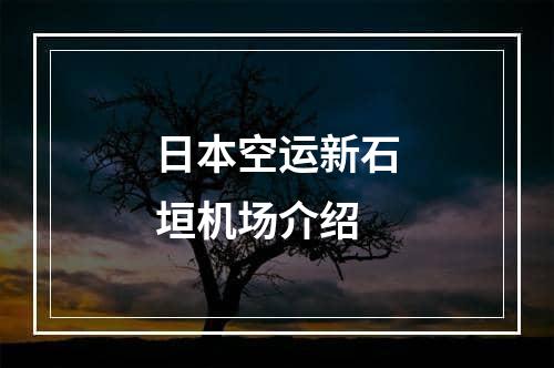 日本空运新石垣机场介绍