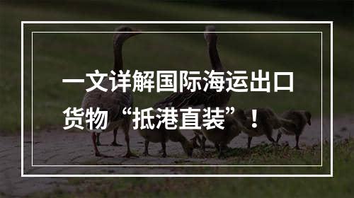 一文详解国际海运出口货物“抵港直装”！