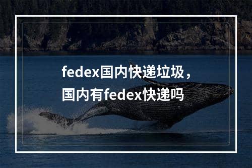 fedex国内快递垃圾，国内有fedex快递吗