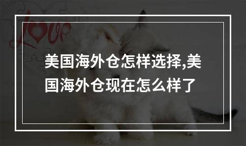 美国海外仓怎样选择,美国海外仓现在怎么样了