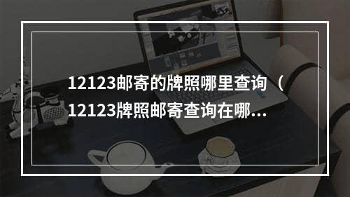 12123邮寄的牌照哪里查询（12123牌照邮寄查询在哪里看）