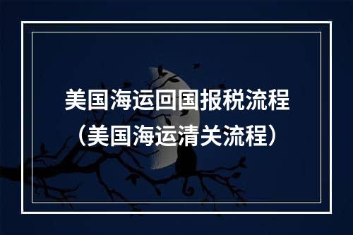 美国海运回国报税流程（美国海运清关流程）