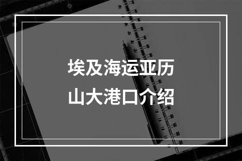 埃及海运亚历山大港口介绍