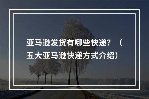 亚马逊发货有哪些快递？（五大亚马逊快递方式介绍）