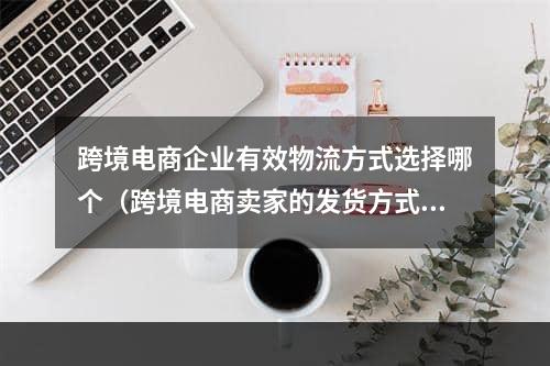 跨境电商企业有效物流方式选择哪个（跨境电商卖家的发货方式）