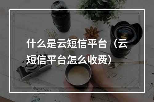 什么是云短信平台（云短信平台怎么收费）