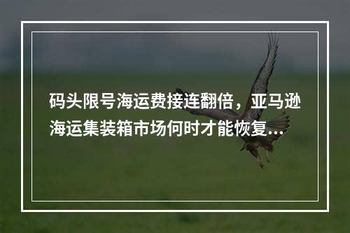 码头限号海运费接连翻倍，亚马逊海运集装箱市场何时才能恢复正常