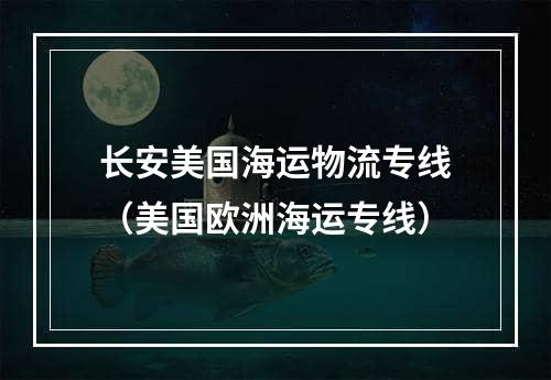 长安美国海运物流专线（美国欧洲海运专线）