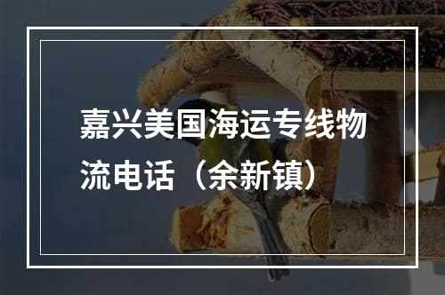 嘉兴美国海运专线物流电话（余新镇）