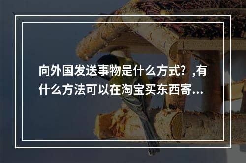 向外国发送事物是什么方式？,有什么方法可以在淘宝买东西寄到国外