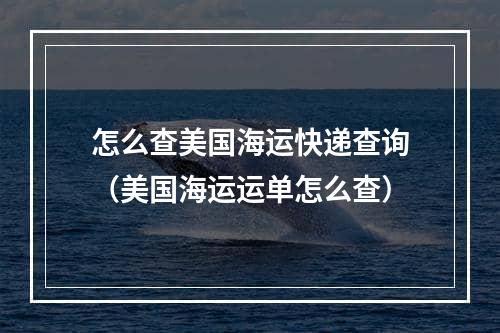 怎么查美国海运快递查询（美国海运运单怎么查）