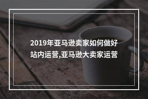 2019年亚马逊卖家如何做好站内运营,亚马逊大卖家运营